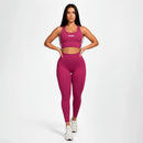 Conjunto Feminino PowerFit - Estilo, Conforto e Segurança!